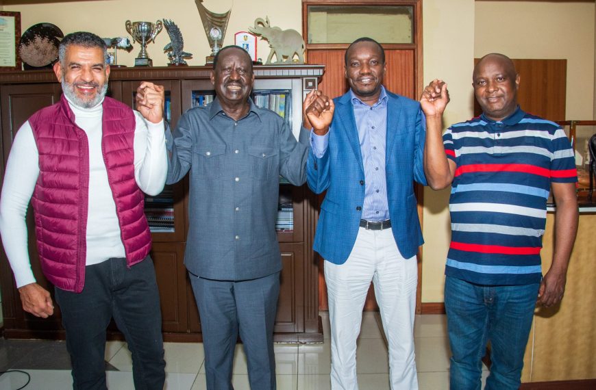 Arati, Abdulswamad and Osotsi to assume powerful ODM posts