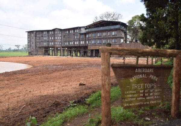 Treetops Hotel in Aberdares Forest reopened after extensive renovations » Capital News