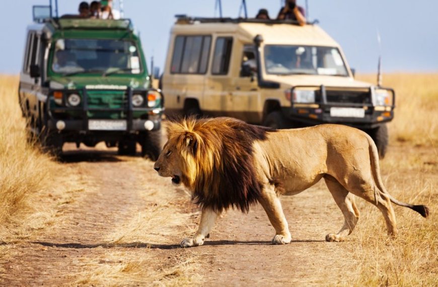 Kenya’s tourism sector posts growth in 2024 as visitor numbers rise