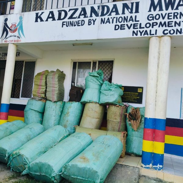 Ploice seize 865kg consignment of bhang in Mombasa » Capital News