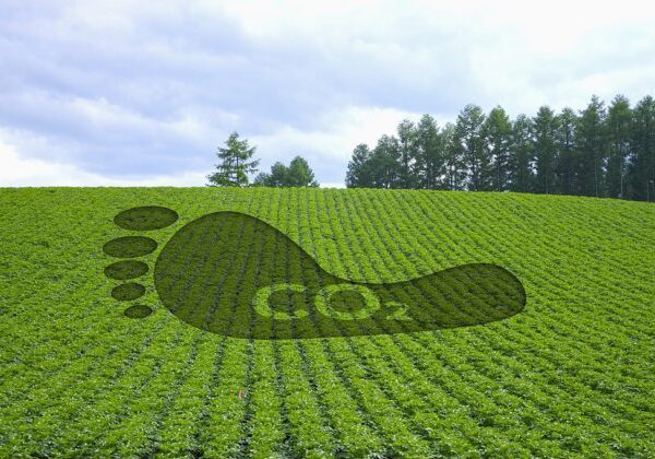 China issues new standard for calculating product carbon footprint