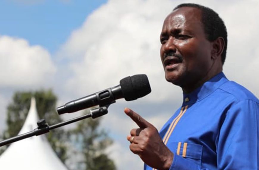 Kalonzo Calls for Immediate Halt to JKIA Takeover Deal with Adani » Capital News