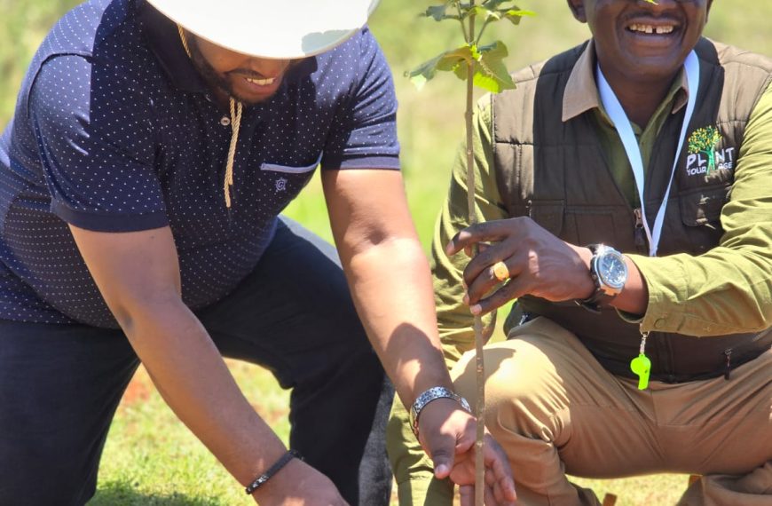 Kenya to Launch Tree Planting Reward Scheme to Boost Forest Cover » Capital News