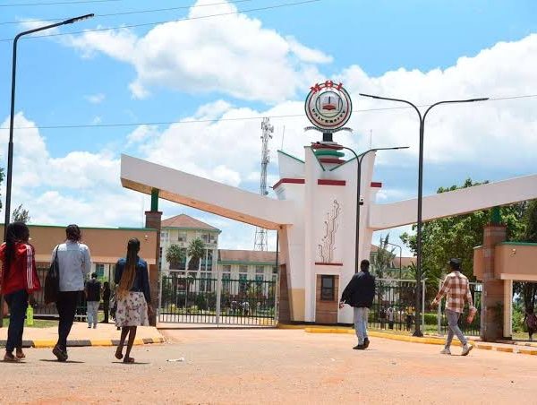 MPs probe Sh29.8mn Moi University gate in details unearthed by audit report » Capital News
