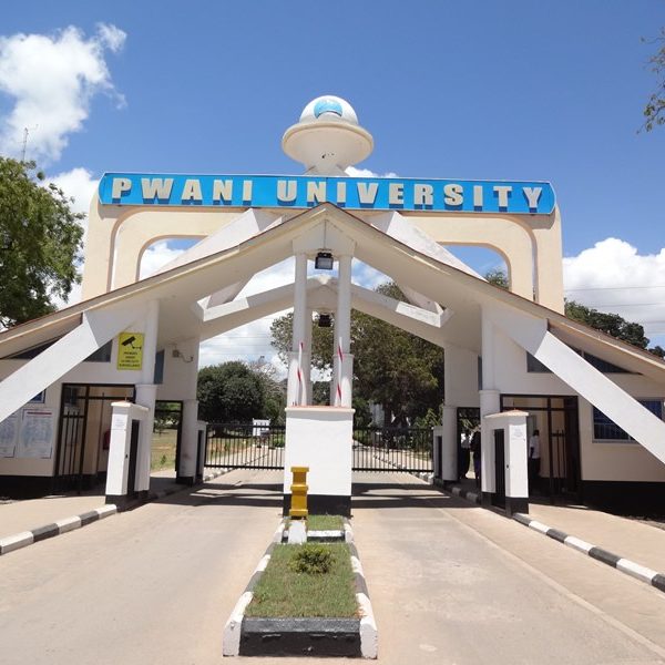 Lobby faults Ruto’s committee on university funding model » Capital News