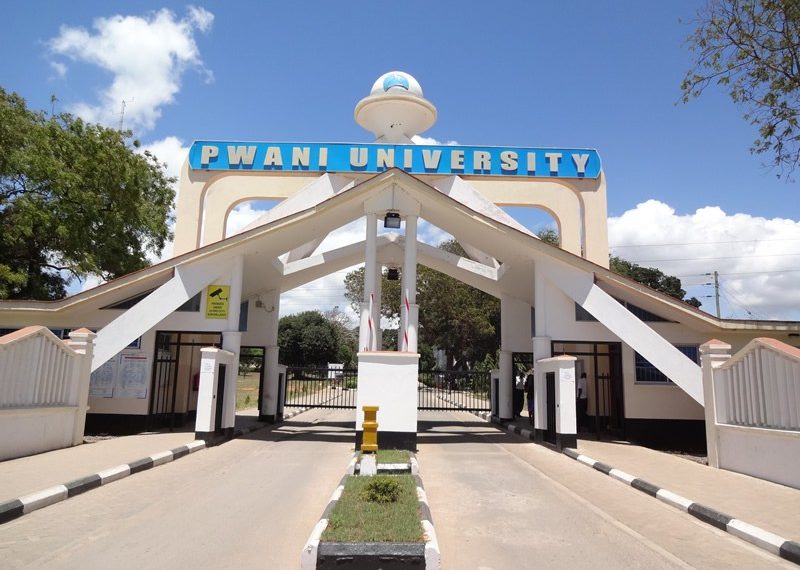 Lobby faults Ruto’s committee on university funding model » Capital News