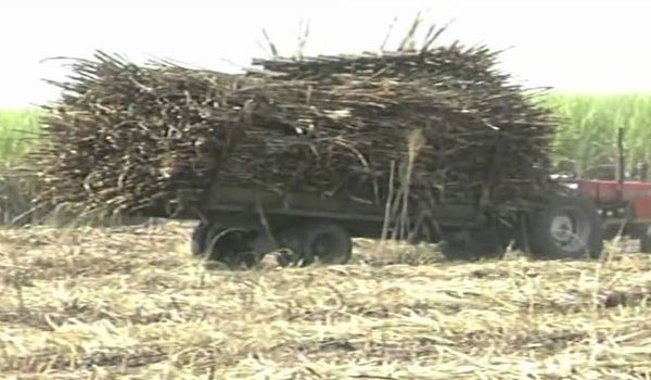 New sugar Act to kick off next week » Capital News