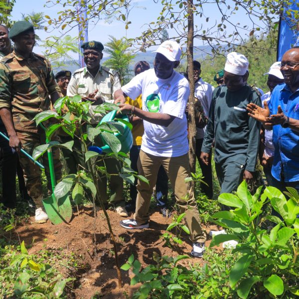 Kenya launches “one tourist, one tree” initiative to boost conservation efforts