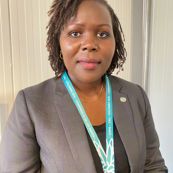 COP 16: Why Kenya was not able to submit updated National Biodiversity Strategic Action Plan