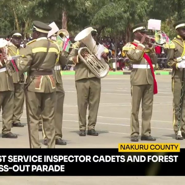 Ruto presides over KFS Inspector Cadets, Forest Trainees pass-out parade » Capital News