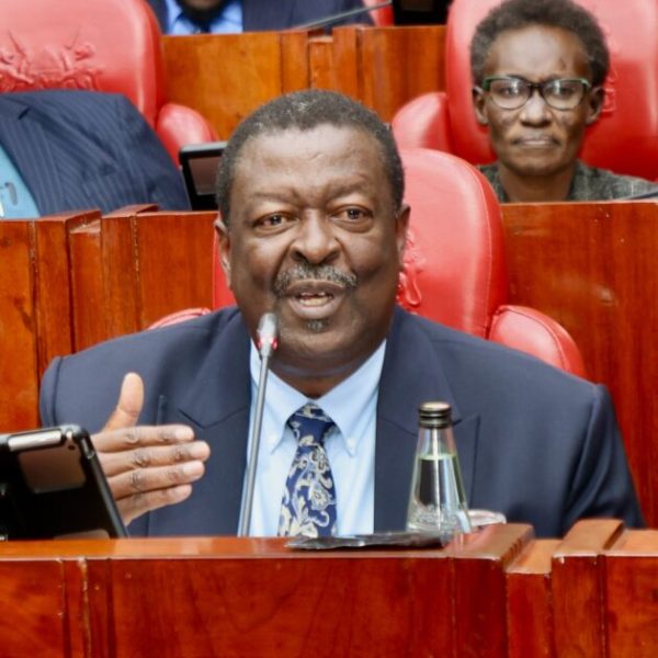 Govt sets aside Sh100mn for evacuation of Kenyans in Lebanon » Capital News
