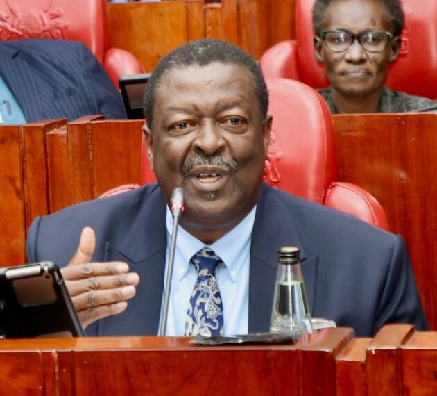 Govt sets aside Sh100mn for evacuation of Kenyans in Lebanon » Capital News