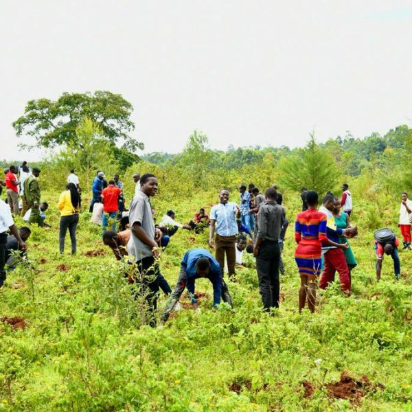 Kenya’s Ambitious Climate Initiative » Capital News