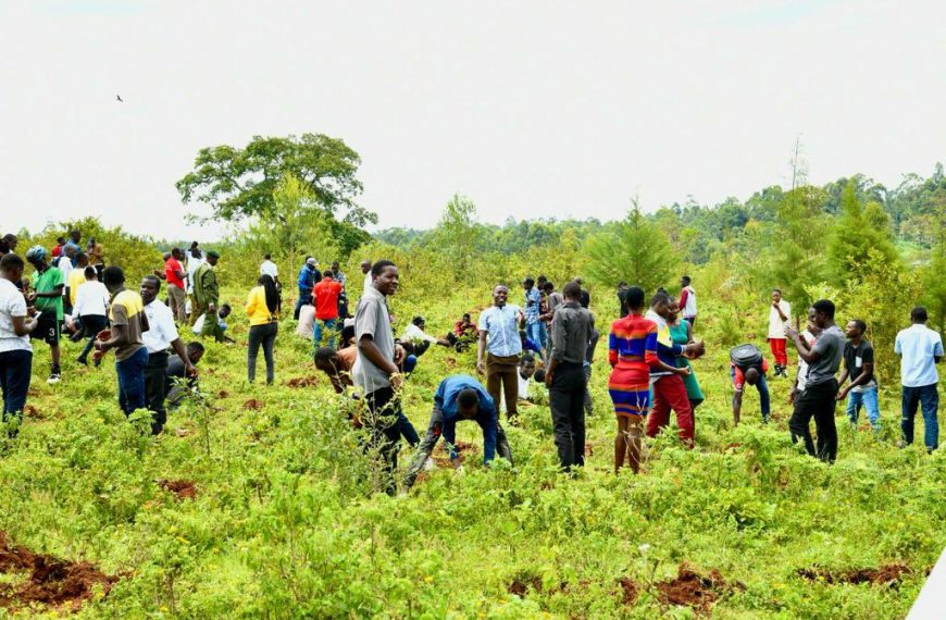 Why Initiatives Like Earthtree Are Key to Kenya’s Climate Future » Capital News