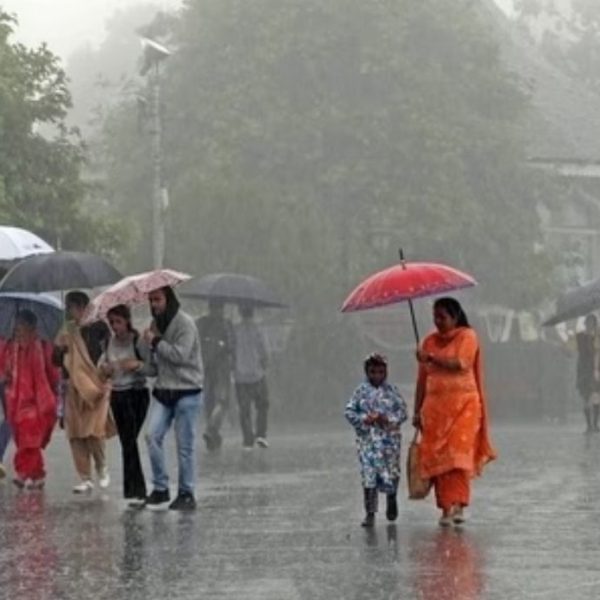 Southwest Monsoon Rains in India Hit Four-Year High, Benefiting Agriculture Sector » Capital News