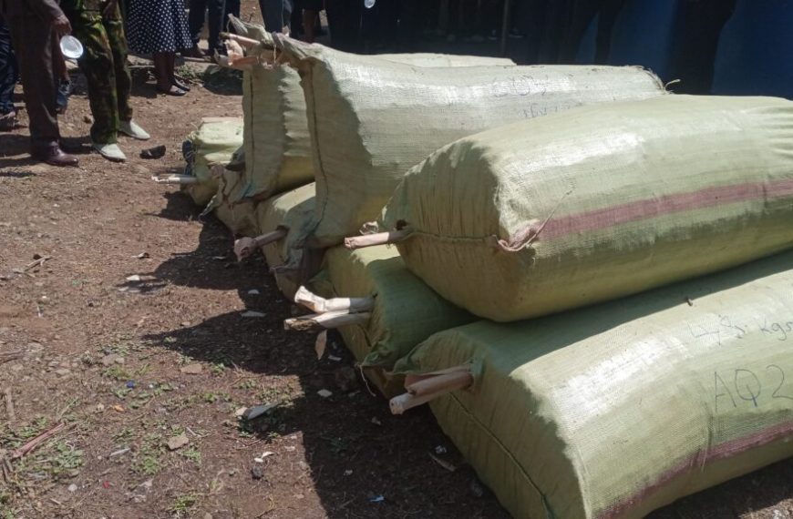 Rising cases of insecurity in Nyanza region linked to drug abuse » Capital News