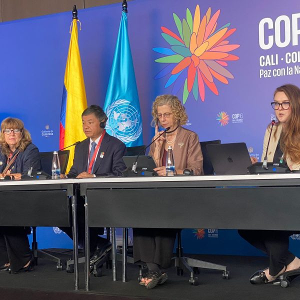 Kenya among beneficiaries of Kunming Biodiversity Fund at COP 16