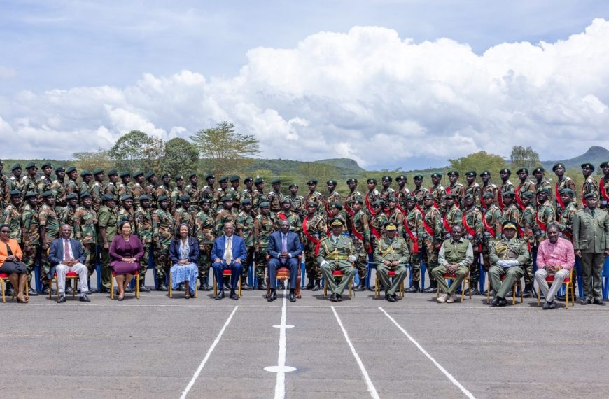 Logging licences will be issued transparently, President Ruto