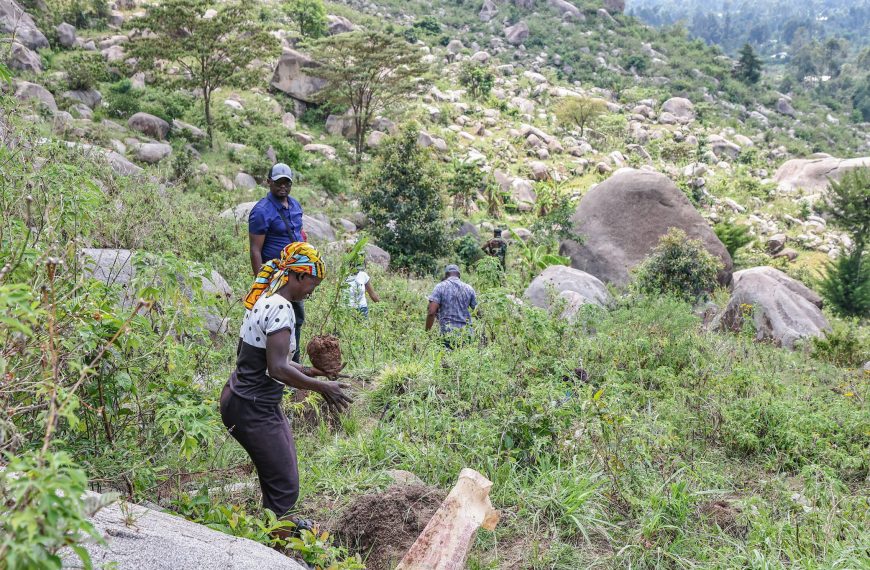 Mudavadi’s office leads tree growing exercise at Maragoli Hills