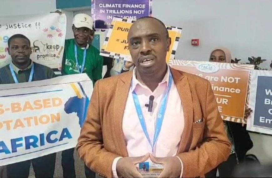 COP29: Activists warn of missed energy goals as Global South demands action