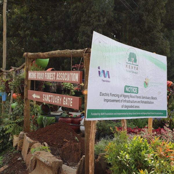 KFS begins construction of electric fence around Ngong Road Forest Sanctuary Block » Capital News
