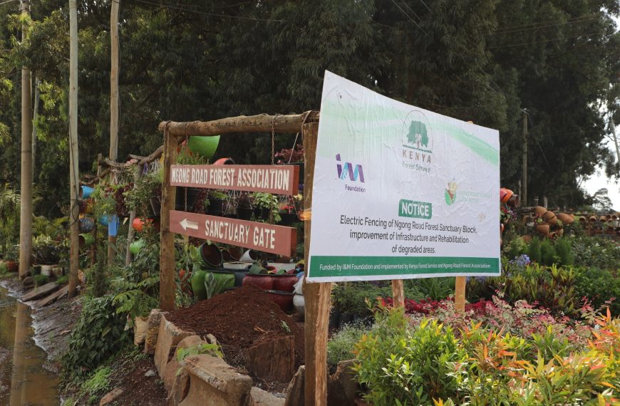 KFS begins construction of electric fence around Ngong Road Forest Sanctuary Block » Capital News