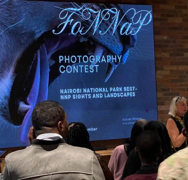 Friends of Nairobi National Park launch inaugural photography contest » Capital News