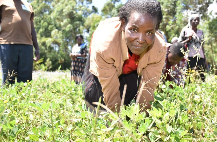 EU project empowers farmers to boost yields, enhance profits
