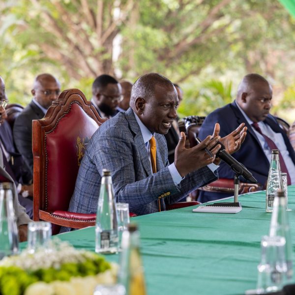 President Ruto meets steering committee on regeneration of Nairobi Rivers