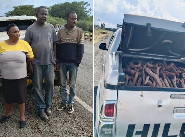 Multi-agency team busts sandalwood smuggling syndicate