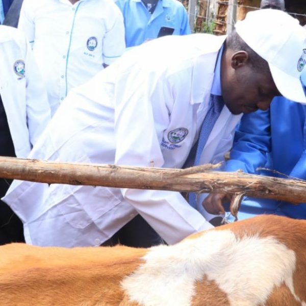 Planned livestock vaccination receives backing of local veterinary experts