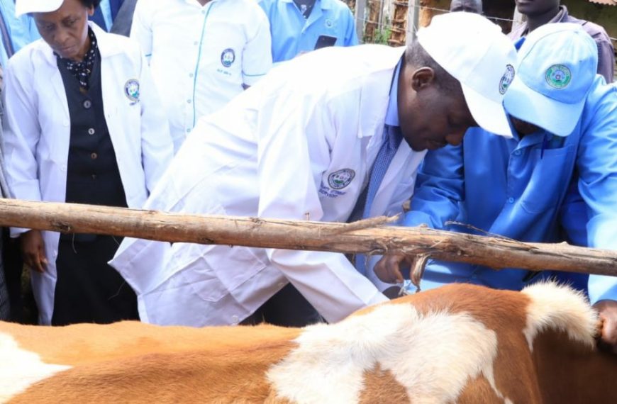 We’ll use locally-manufactured vaccines for livestock vaccination – Agriculture CS