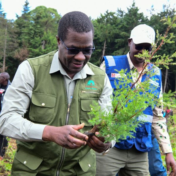 Uhuru free to cut deal under broad-based govt » Capital News