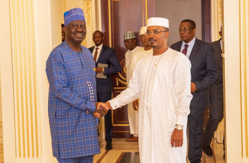Raila sustains campaign for AUC chairperson seat