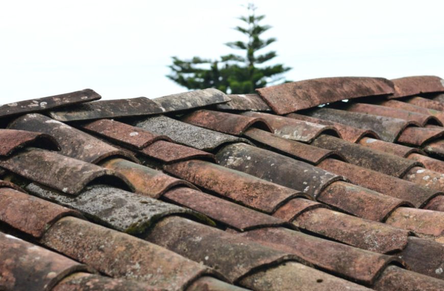 Govt asked to avail funds for removal of asbestos roofs » Capital News