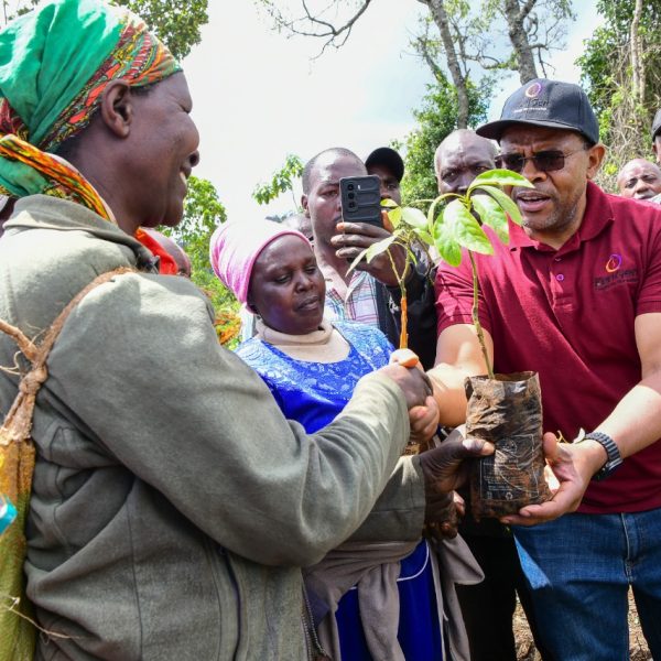 KenGen rallies Kenyans to join tree-growing efforts » Capital News