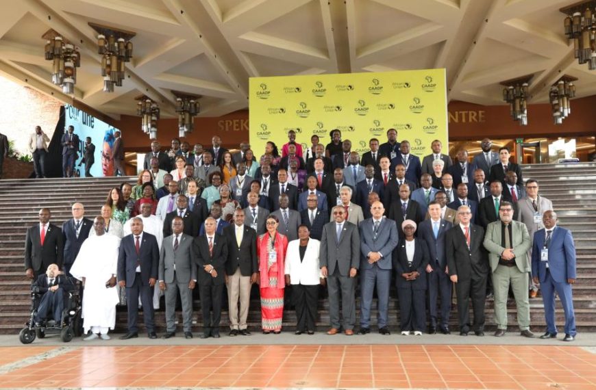 AU to adopt 10-year CAADP Strategy to revolutionise agriculture, food systems