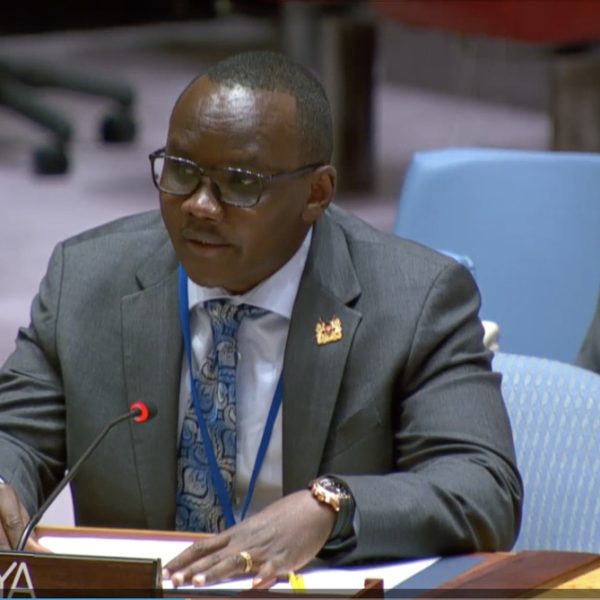 Kenya’s Lokaale appointed to facilitate UN Summit Review » Capital News