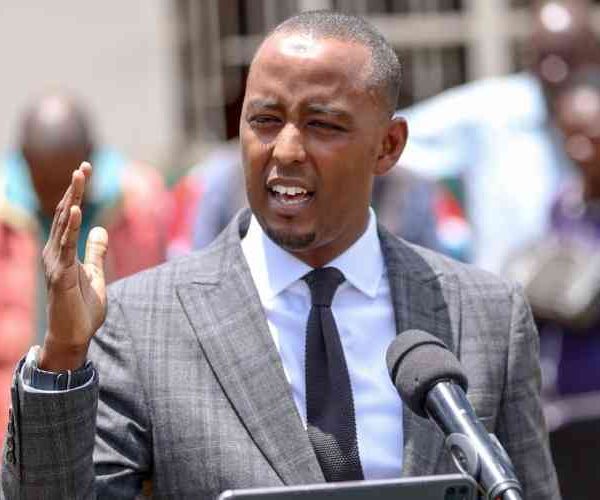 No job losses expected from parastatal reforms – State House