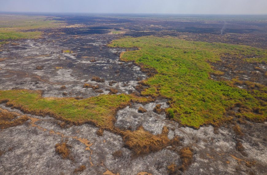 Isiolo wildfire contained as government warns against reckless fires » Capital News