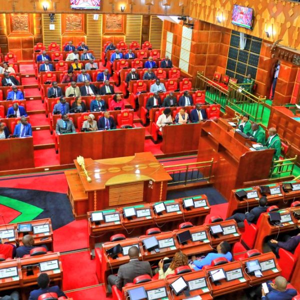 MPs to convene retreat to assess progress and plan for 2025 legislative agenda
