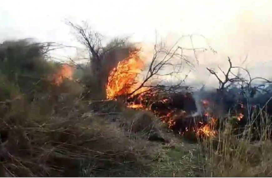 Appeal for gov’t help as wildfire ravages Isiolo grazing fields