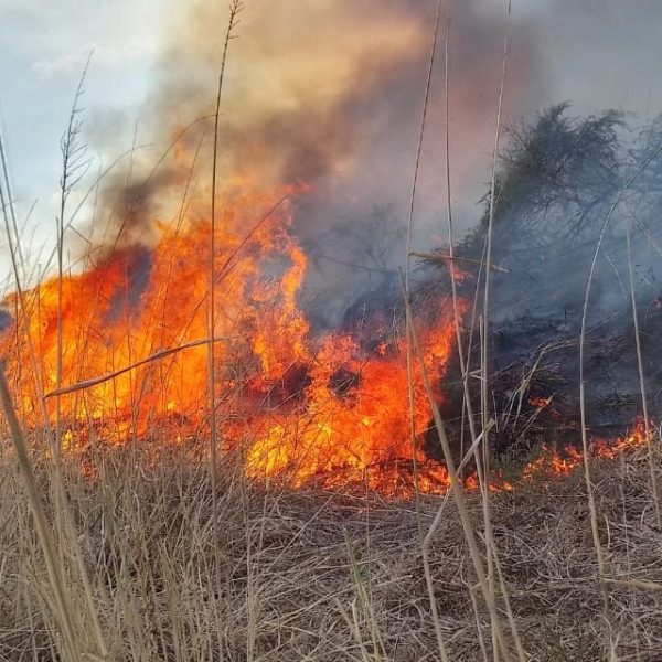 Isiolo loses 190,000 acres of grassland amid an unrelenting wildfire » Capital News