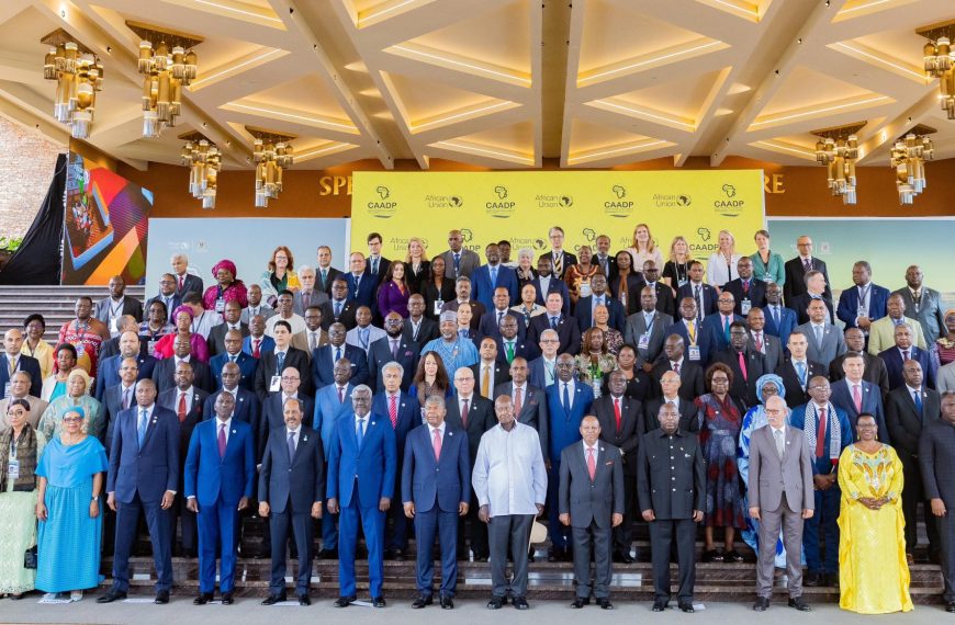 Ruto Urges African Countries to Collaborate in Building Resilient Food Systems » Capital News