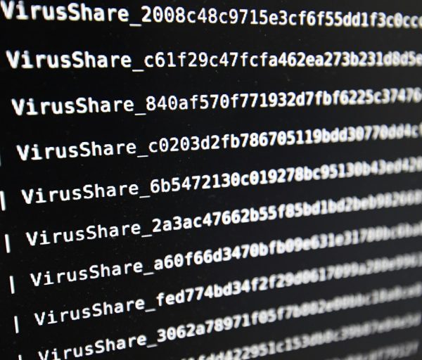 Govt Confirms Data Breach on main registry exposing millions of companies » Capital News