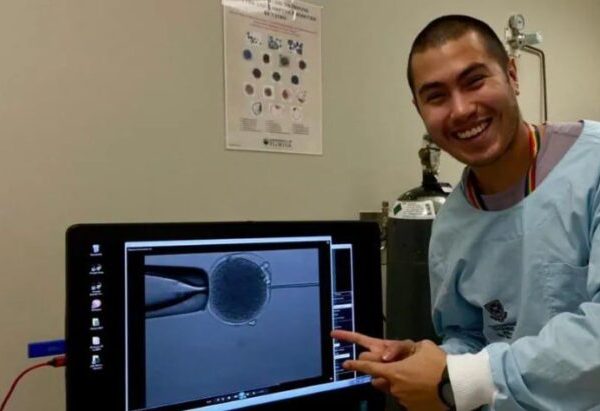 Scientists produce first kangaroo embryo using IVF » Capital News