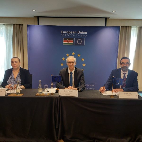 EU advises urgency for appointing new IEBC Commissioners to ensure timely electoral reforms » Capital News