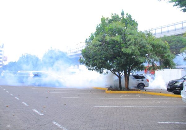 Youths inducted into bhang use in GenZ protests to reduce effects of teargas » Capital News