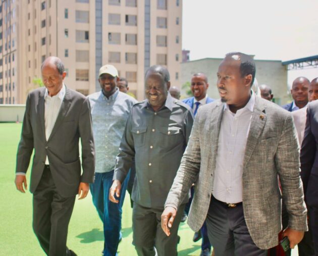 Raila pledges to support private sector should he succeed in AUC bid » Capital News