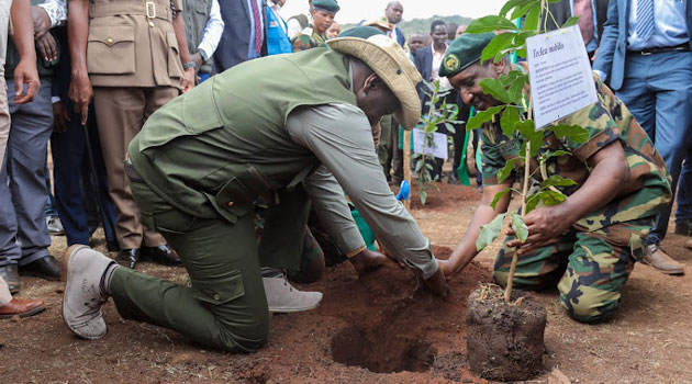 Kenya loses Sh870 Billion Annually to Climate Change, Dr. Kalua Green Says Warning of Missed Green Goals » Capital News